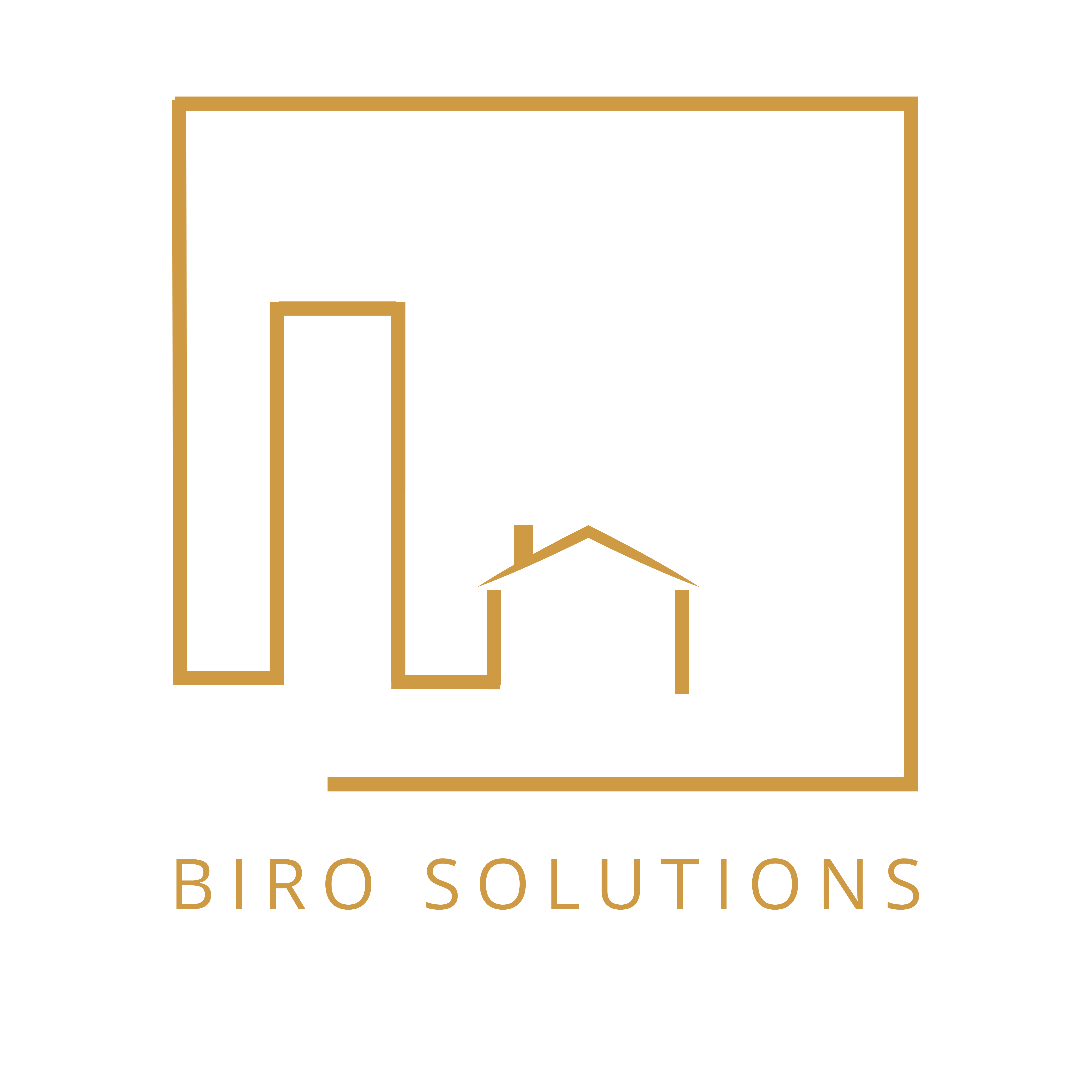 biro solutions logo